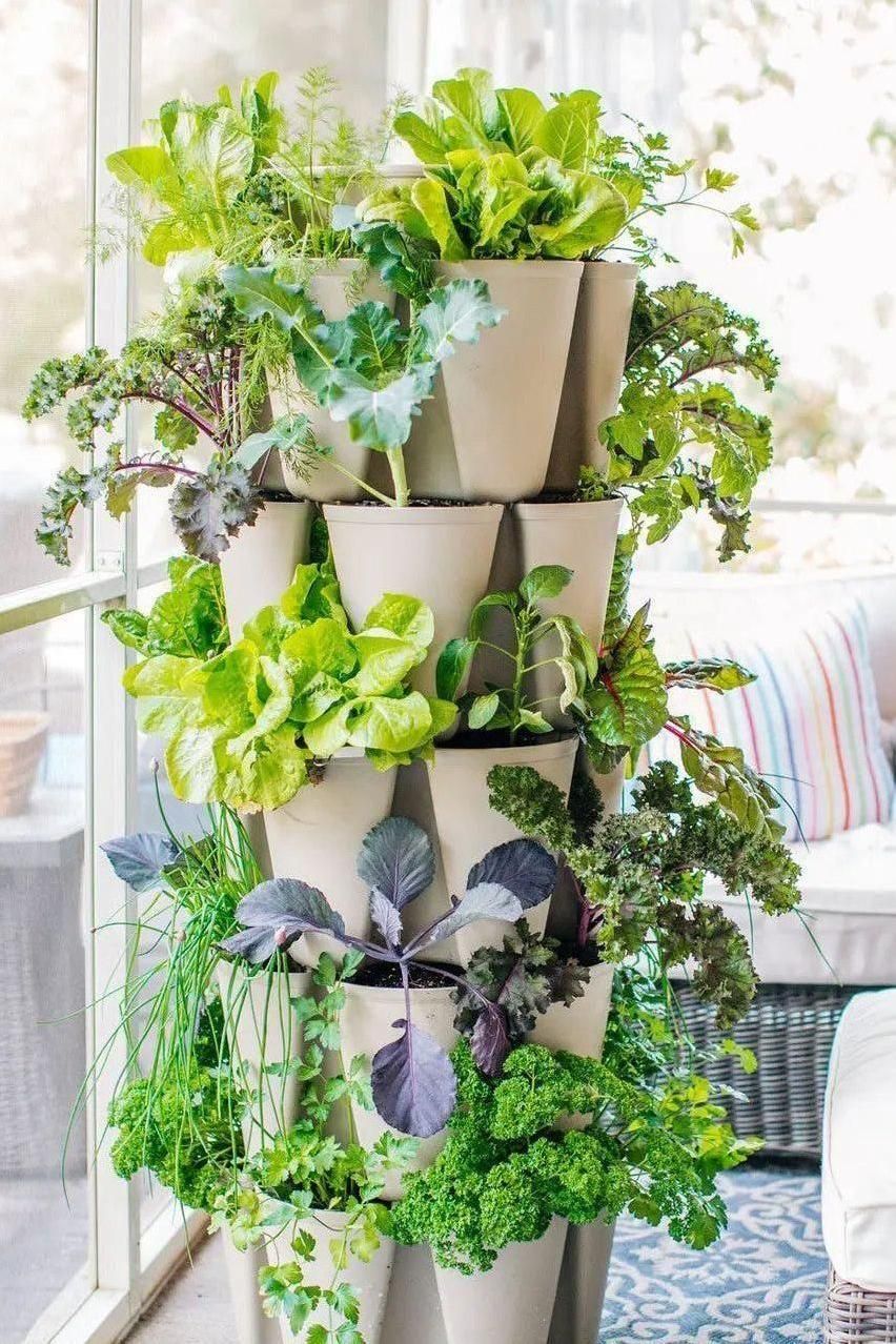 5 Tier GreenStalk Garden Original Vertical Planter - Basic Texture - Image 7