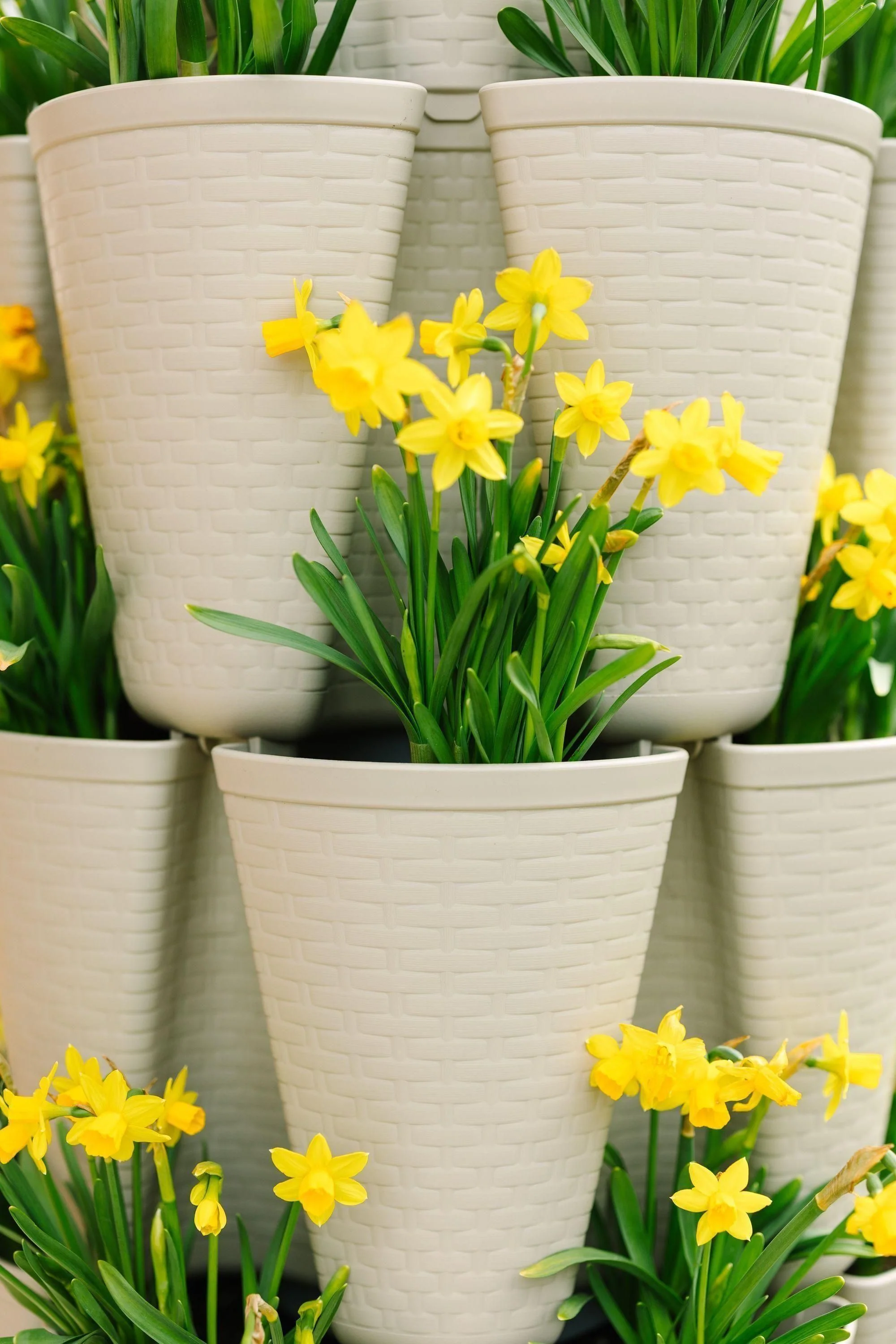 5 Tier GreenStalk Garden Original Vertical Planter - Basket Weave Texture - Image 7