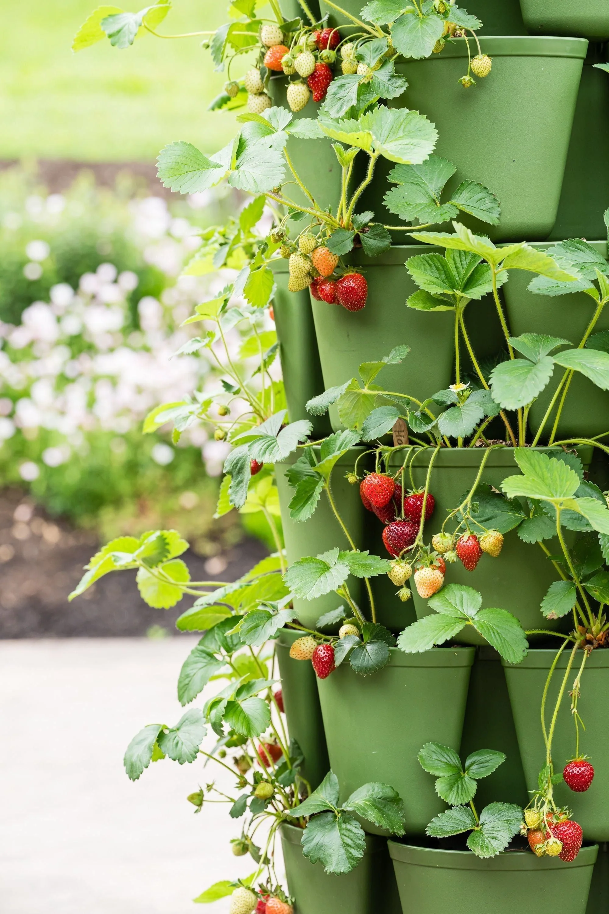 7 Tier GreenStalk Garden Leaf Vertical Planter - Basic Texture - Image 5
