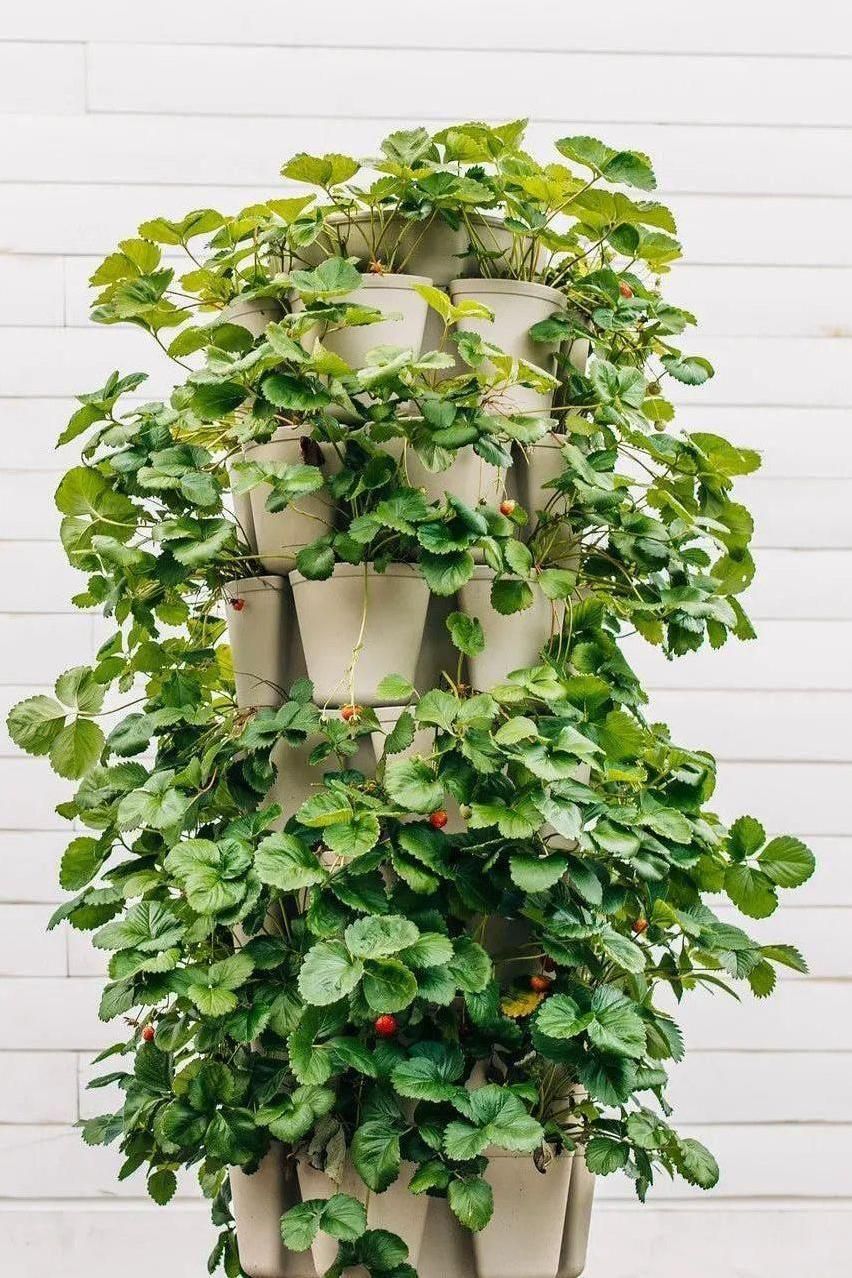 7 Tier GreenStalk Garden Leaf Vertical Planter - Basic Texture - Image 6