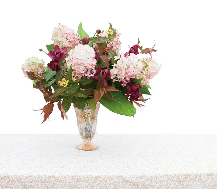 Aphrodite' Sweetshrub | Proven Winners® - Image 4