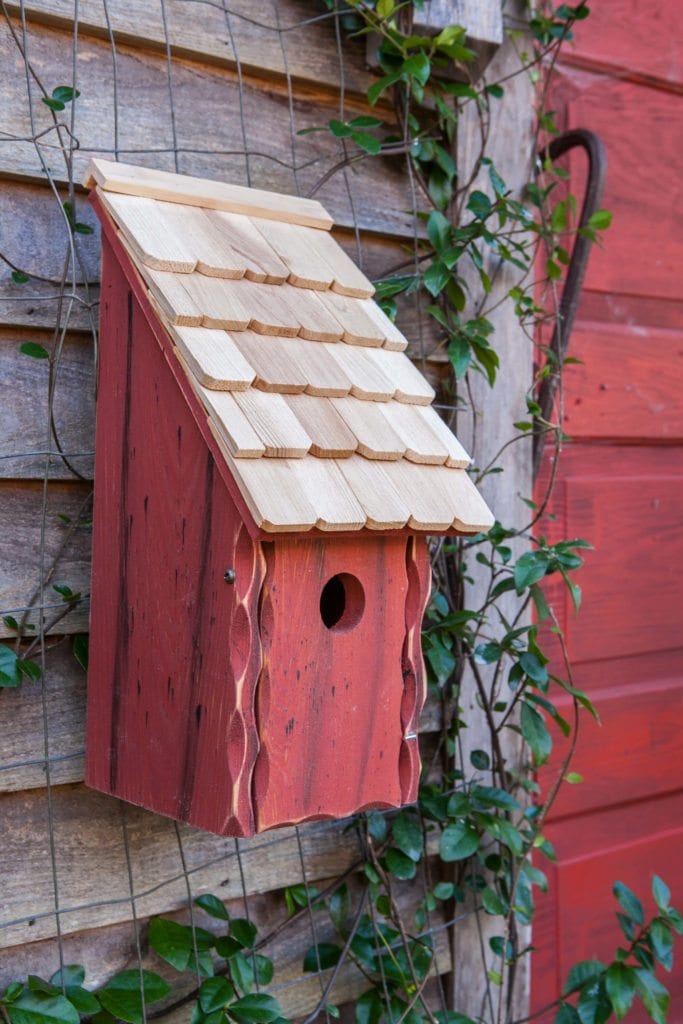 Bluebird Bunkhouse Birdhouse - Image 3