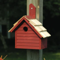 Cape Cod Wren Birdhouse - Image 4