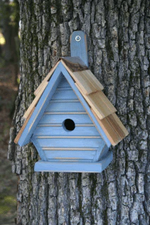 Chick Birdhouse - Image 6