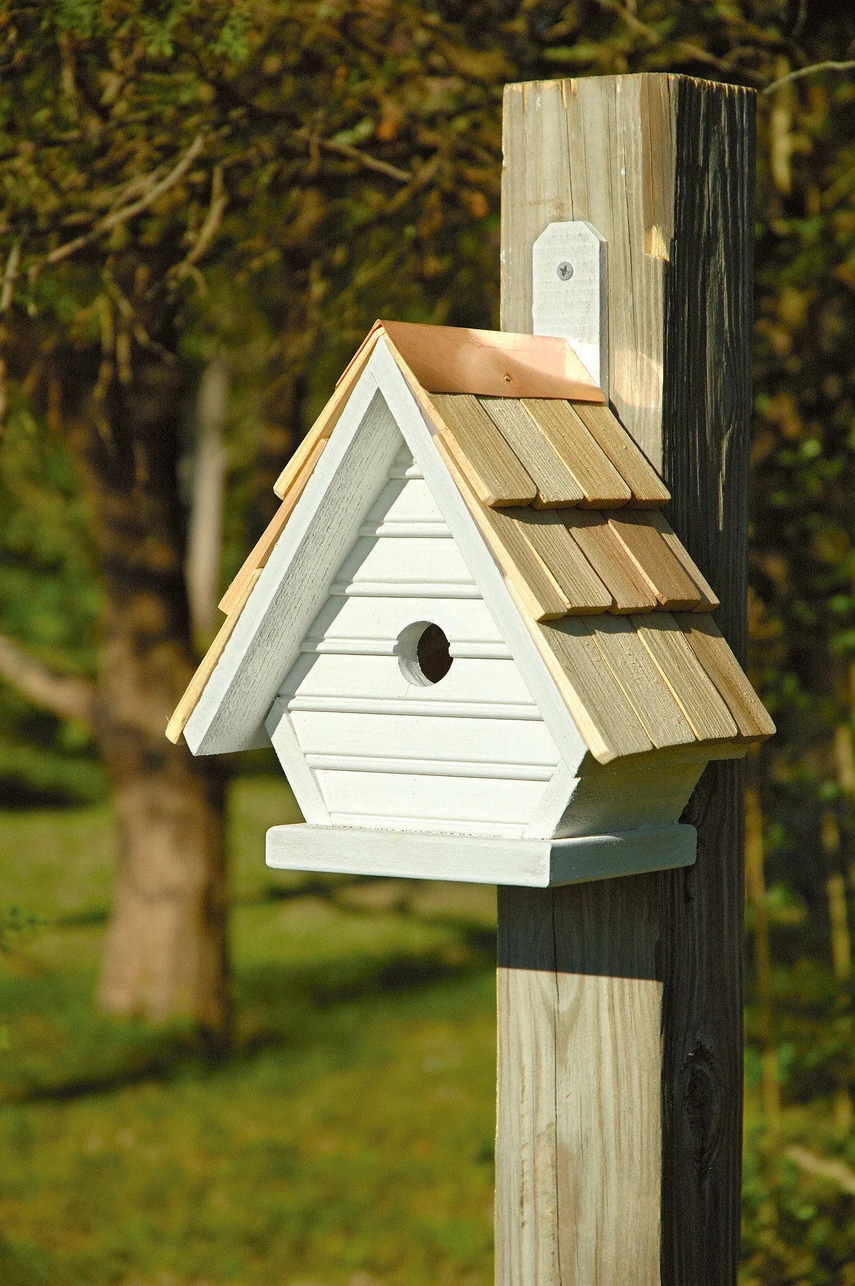 Chick Birdhouse - Image 7