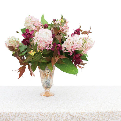 KODIAK® Orange Diervilla | Proven Winners® - Image 7