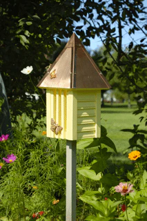 Flutterby Copper Roof