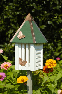 Flutterbye Butterfly House - Image 2