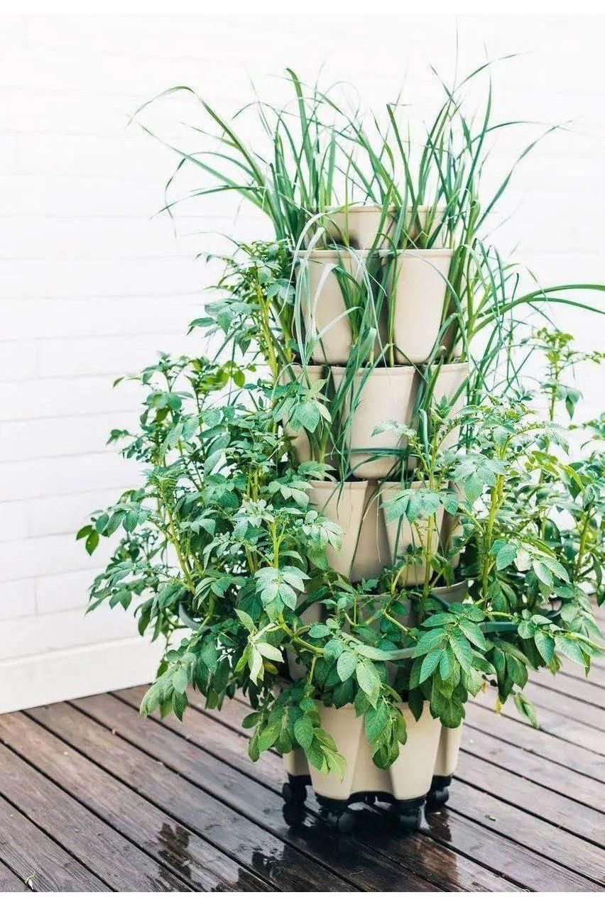 GreenStalk Garden Plant Support - Image 2