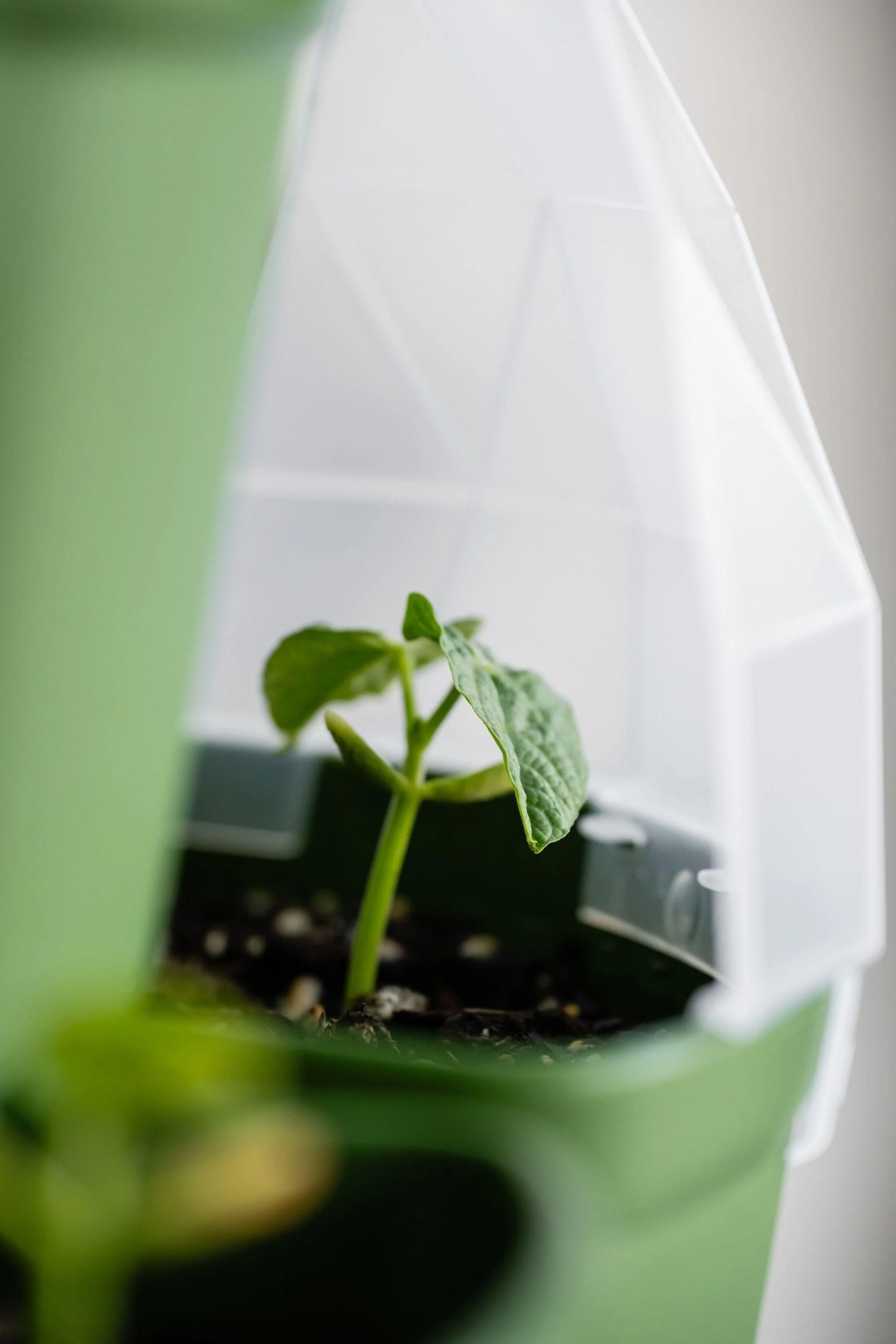 GreenStalk Garden Seed House - Set of 6 - Image 4