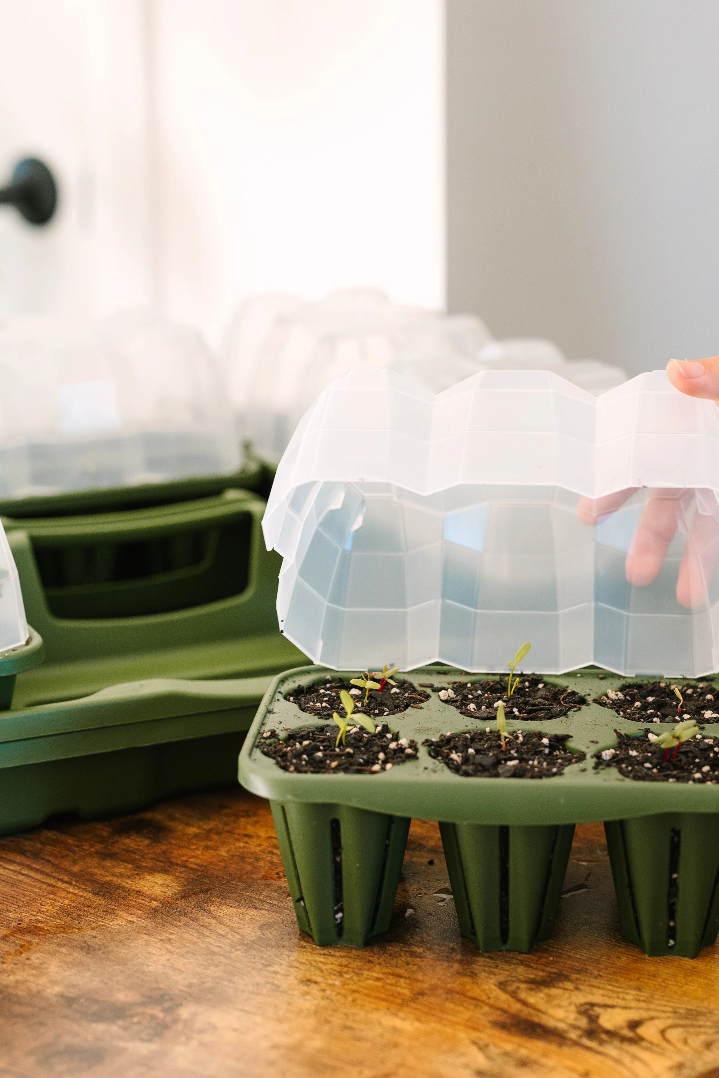 GreenStalk Garden Seed Starter Kit with Domes - Image 2