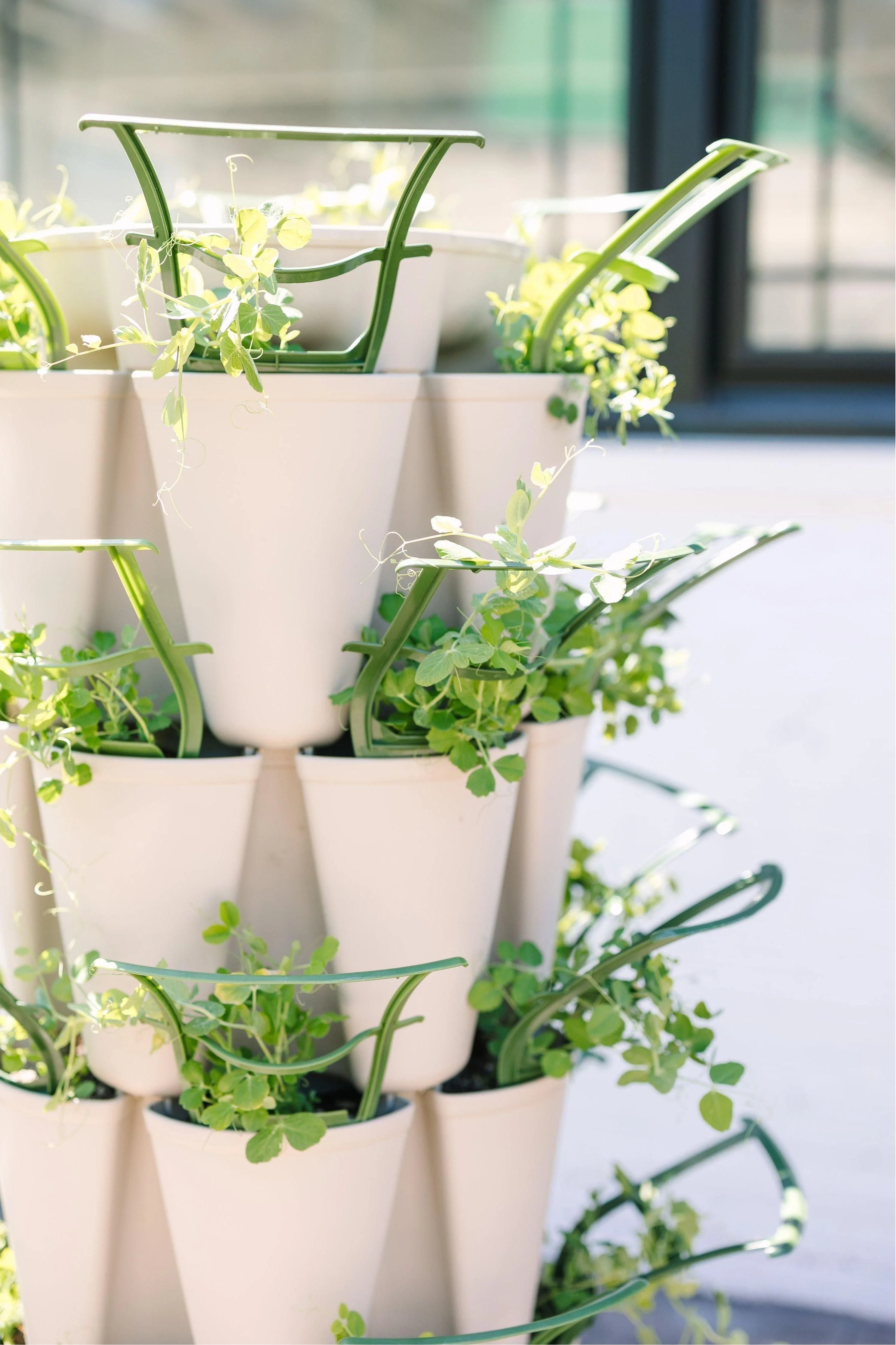 GreenStalk Garden Trellis - Set of 3 - Image 2