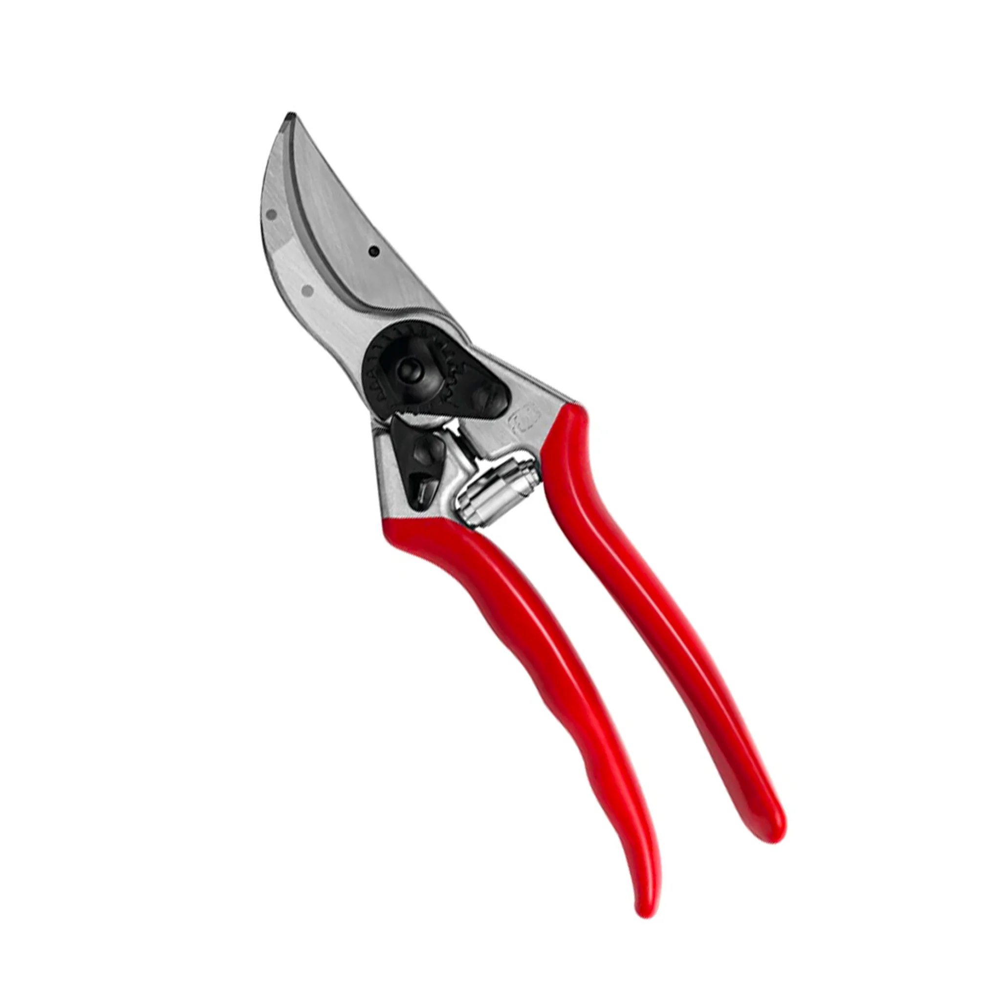 Jenny’s Ultimate Gardening Bundle - Image 8