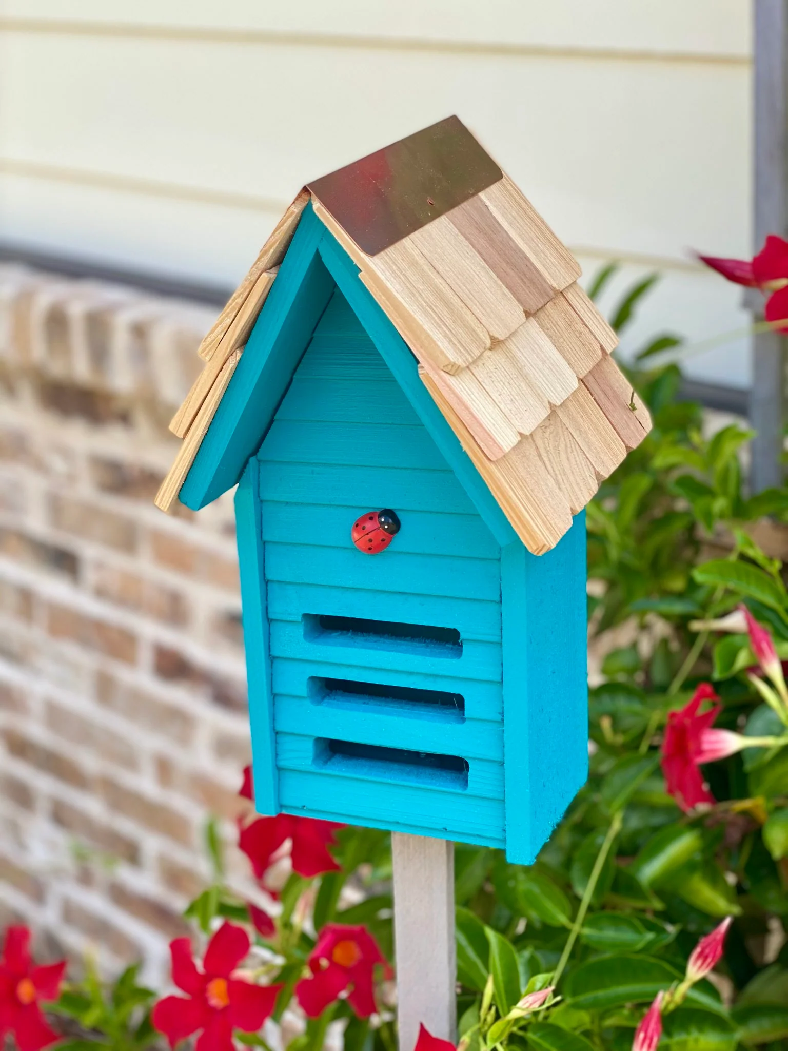 Lady Bug Loft - Image 3