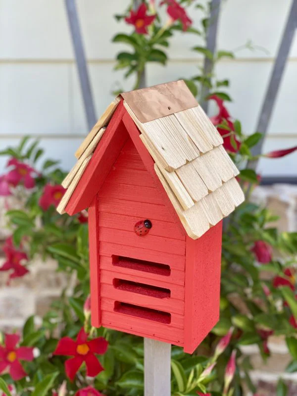 Lady Bug Loft - Image 4