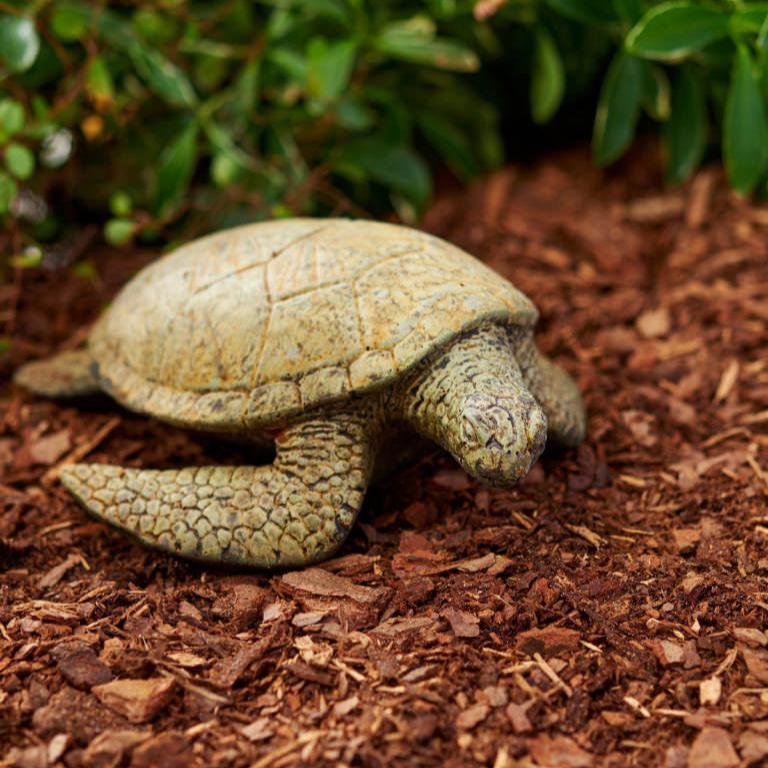 Loggerhead Sea Turtle - Unique Stone