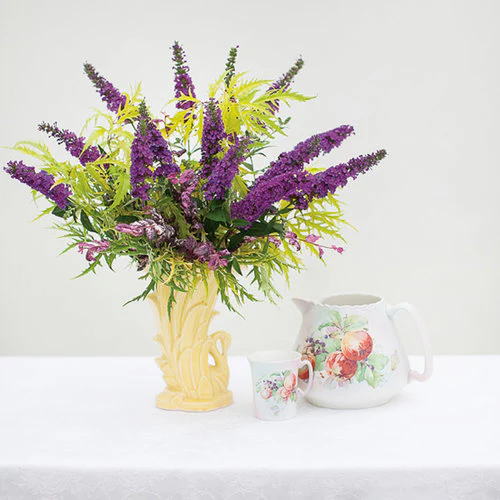 Miss Violet' Butterfly Bush - Image 5