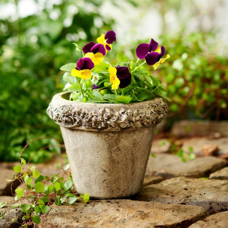 Rose Rim Planter - Unique Stone