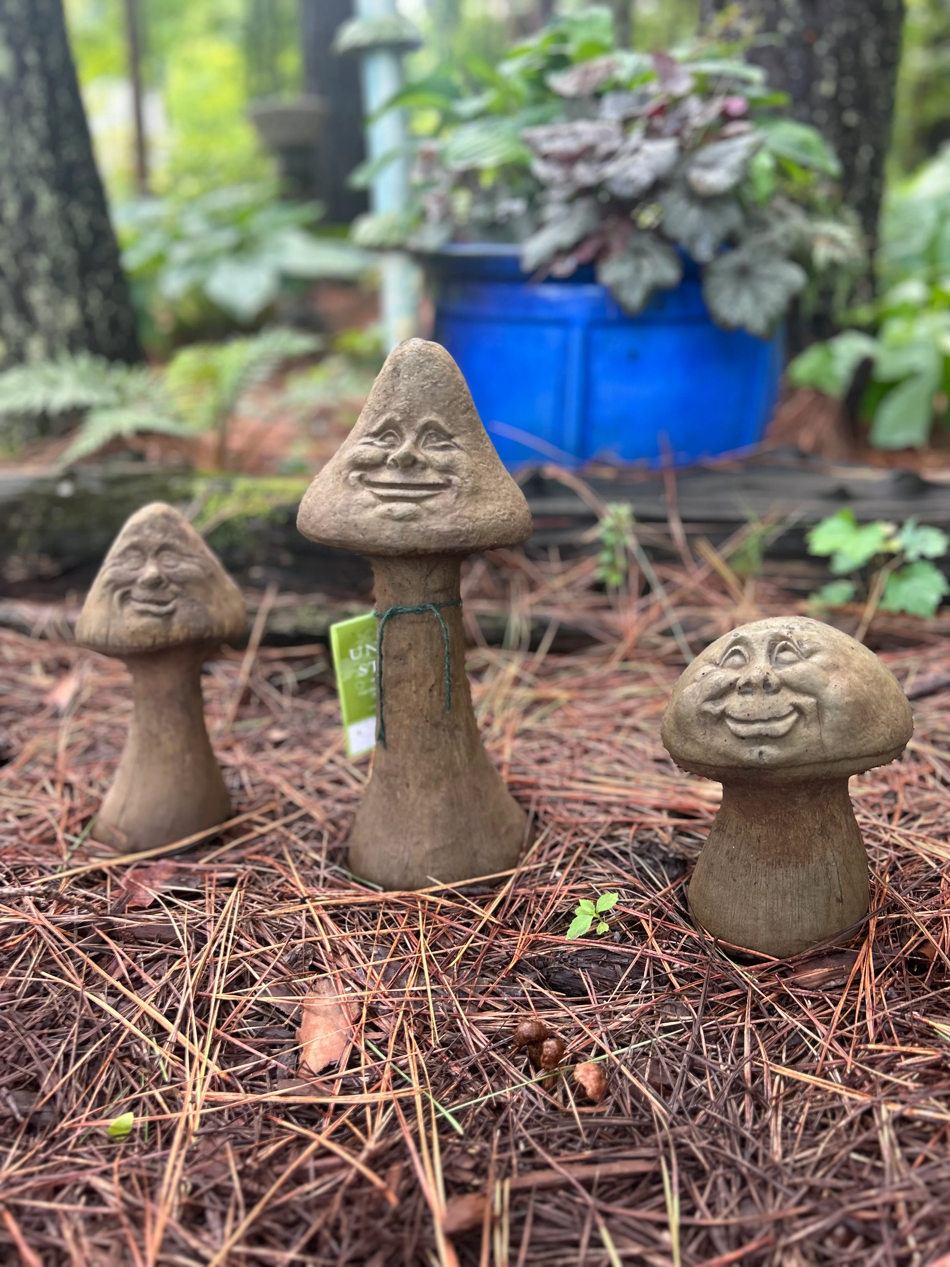 Shroomies Set - Unique Stone