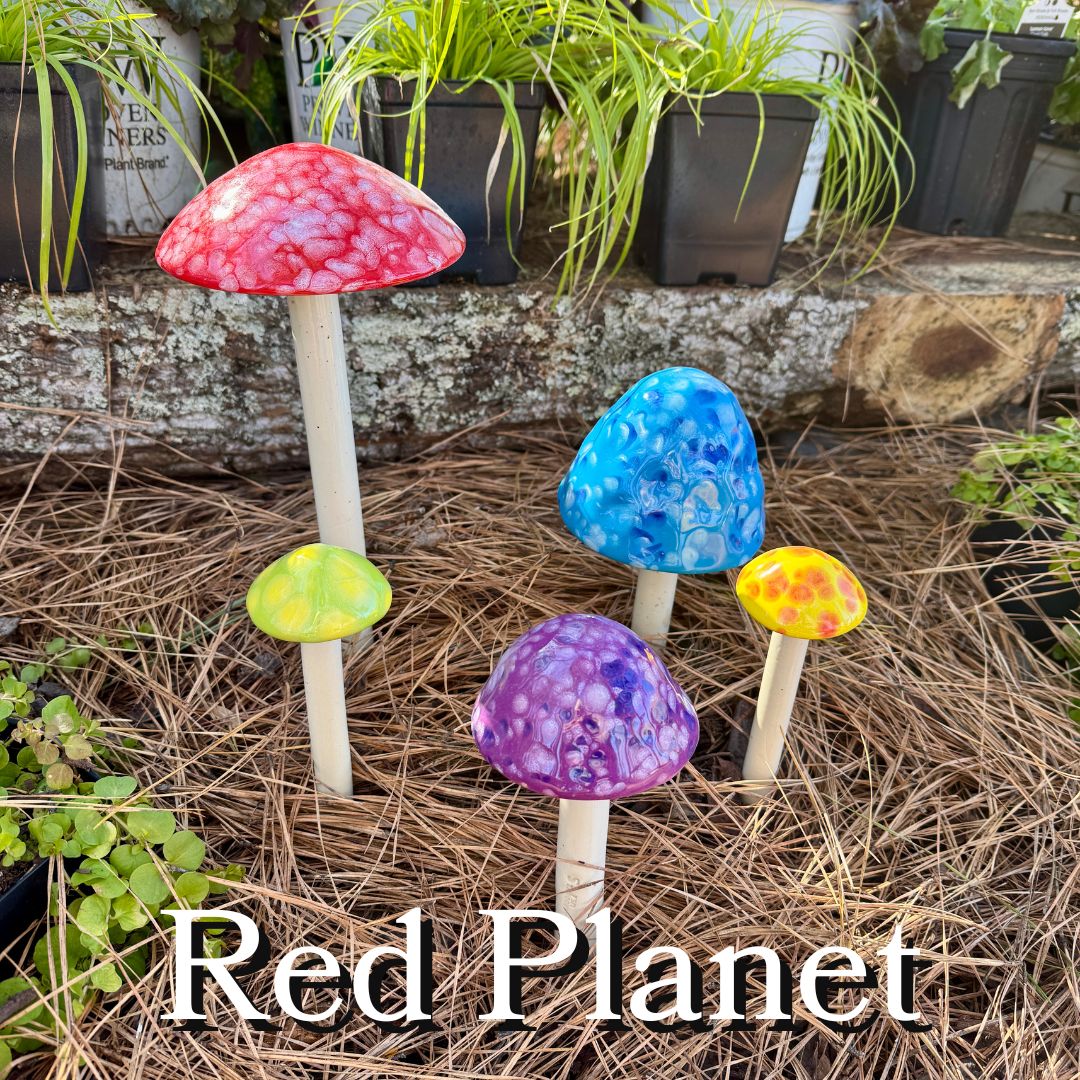 Shroomyz - 5 Pack - Image 2