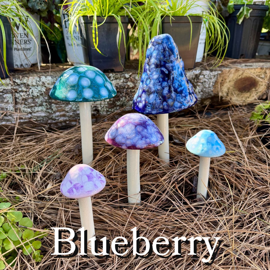 Shroomyz - 5 Pack - Image 4