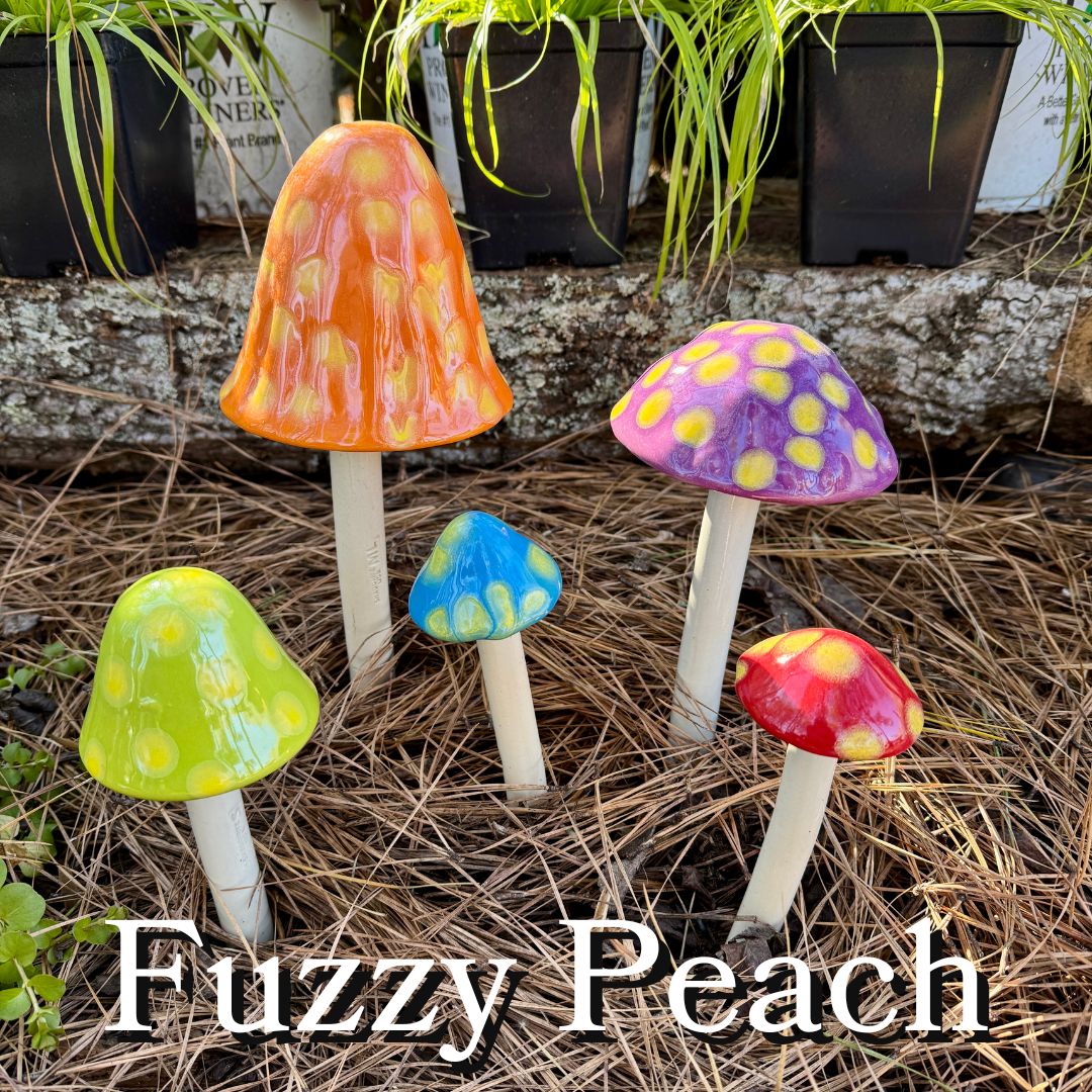 Shroomyz - 5 Pack - Image 6
