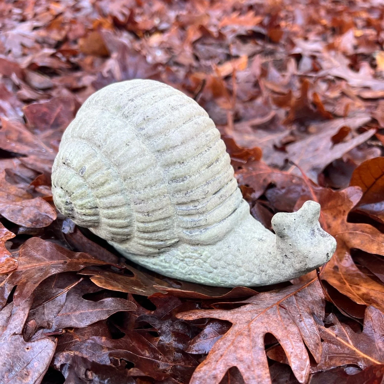 Small Snail - Unique Stone