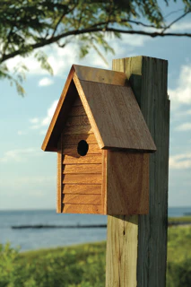 Starter Home Birdhouse