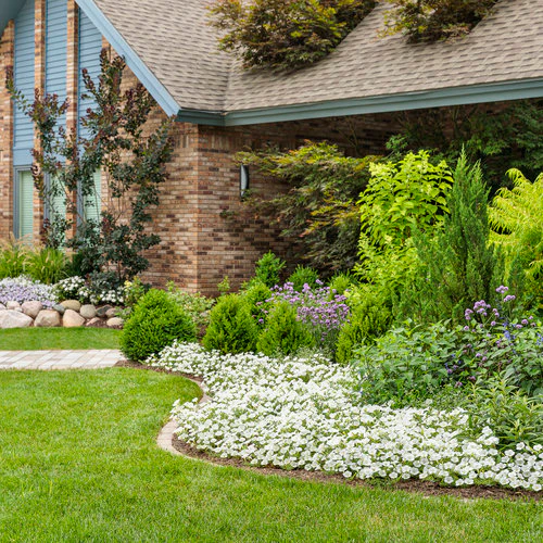 Supertunia Vista® Snowdrift™ Petunia | Proven Winners® - Image 3