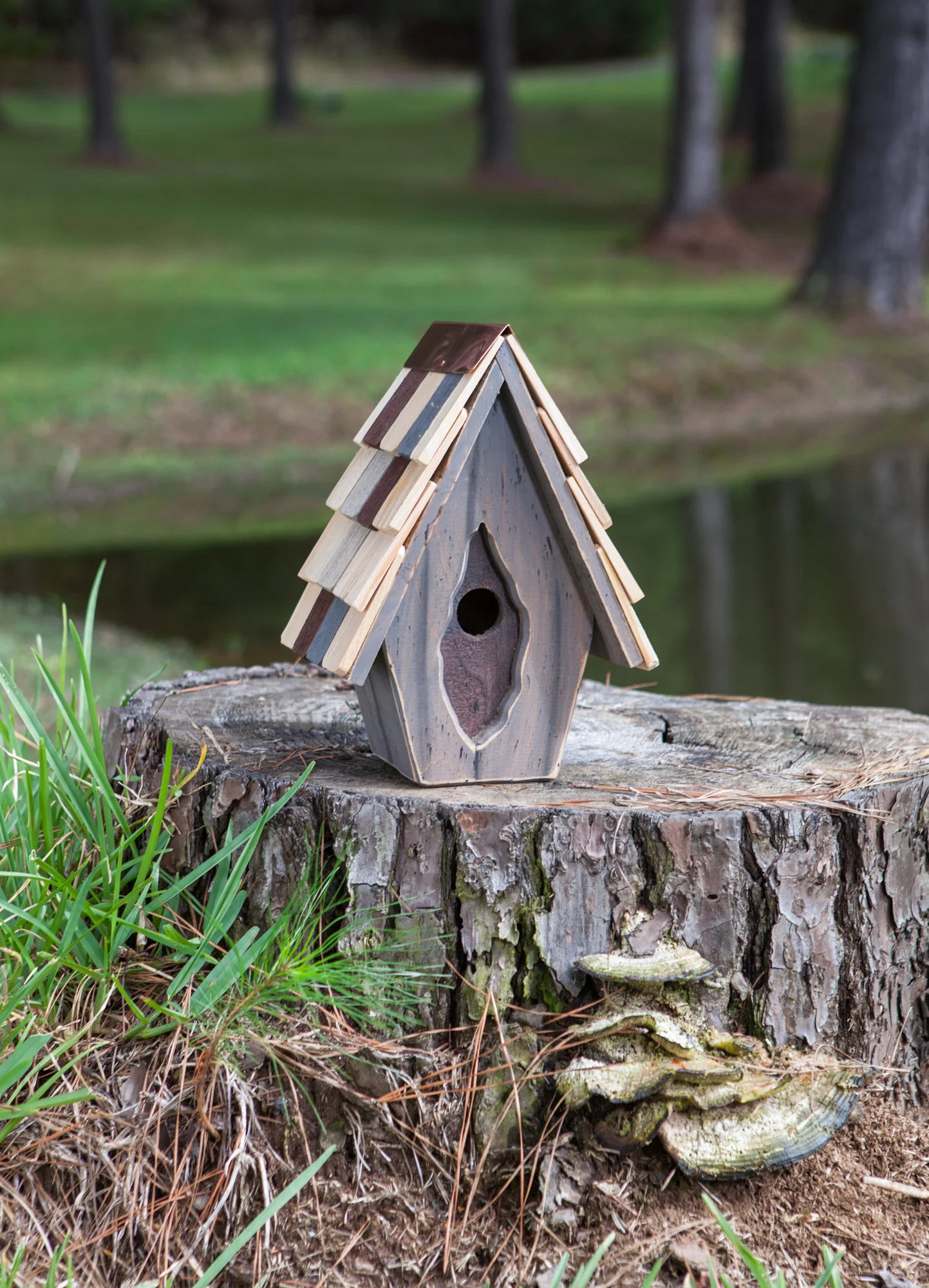 Vintage Wren Birdhouse - Image 3