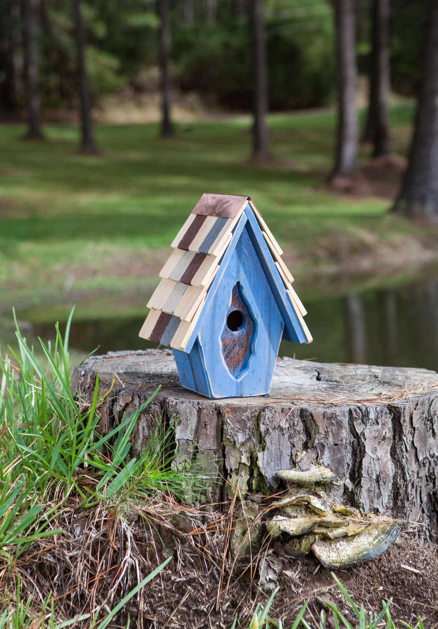 Vintage Wren Birdhouse - Image 4