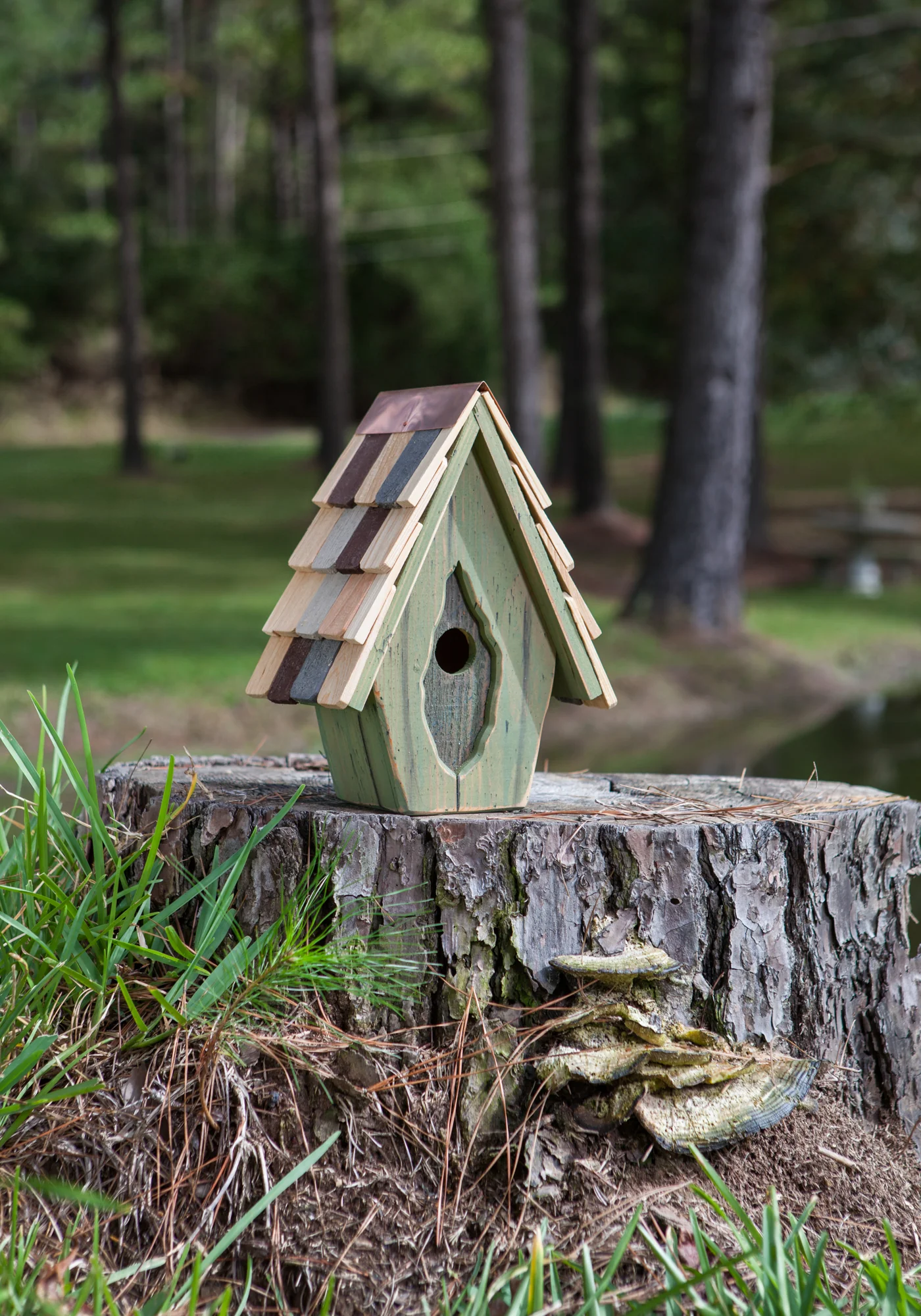Vintage Wren Birdhouse - Image 5