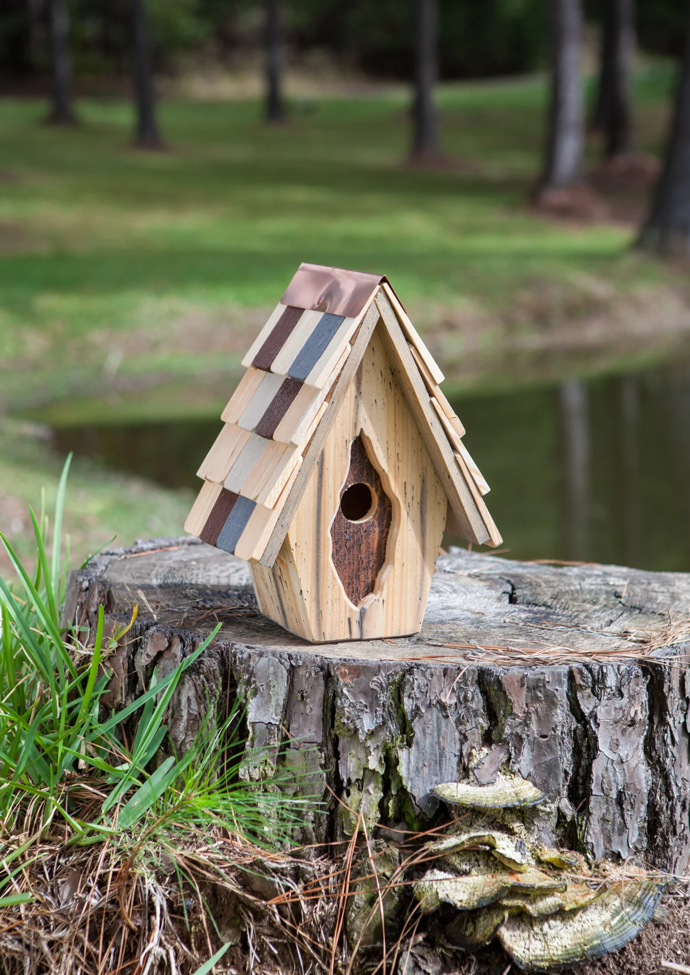Vintage Wren Birdhouse - Image 6
